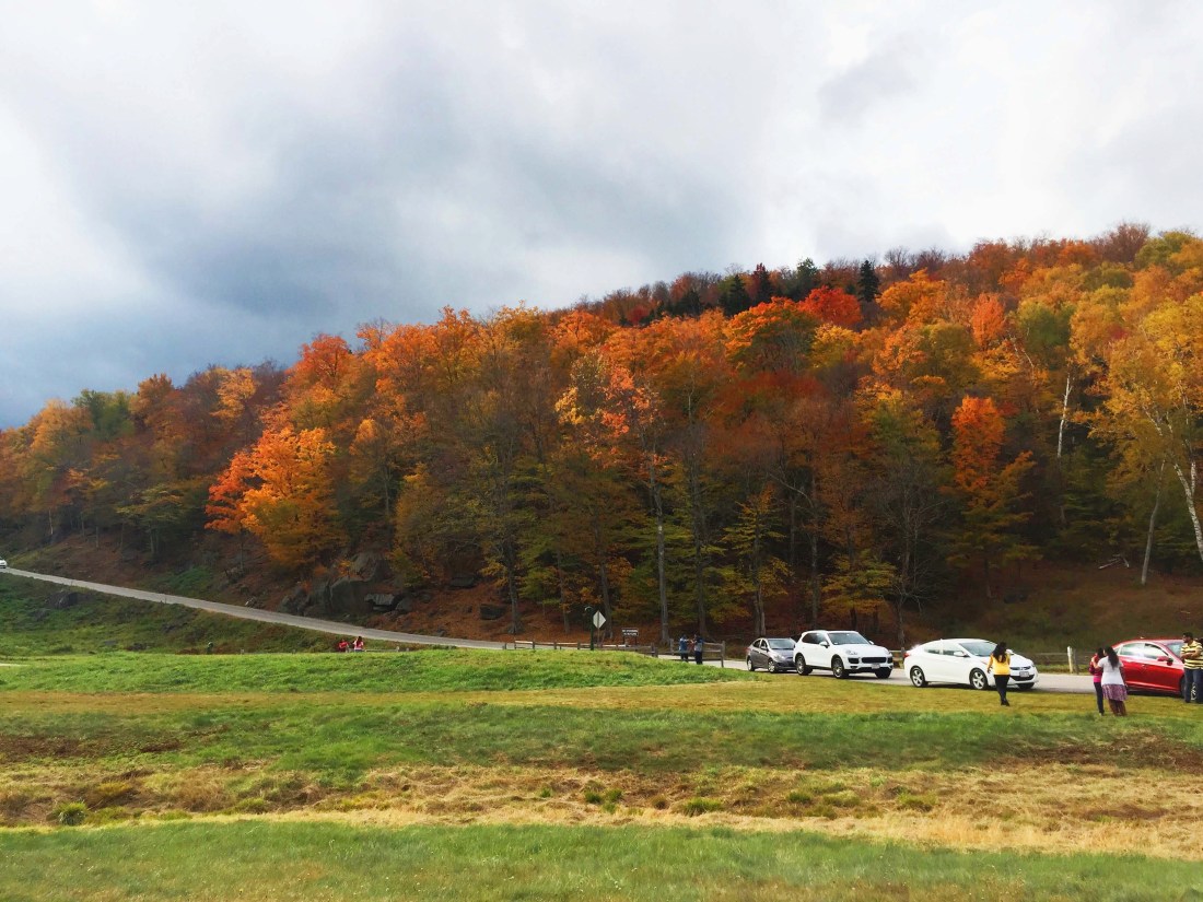 Image 11-1-18 at 9.46 AM