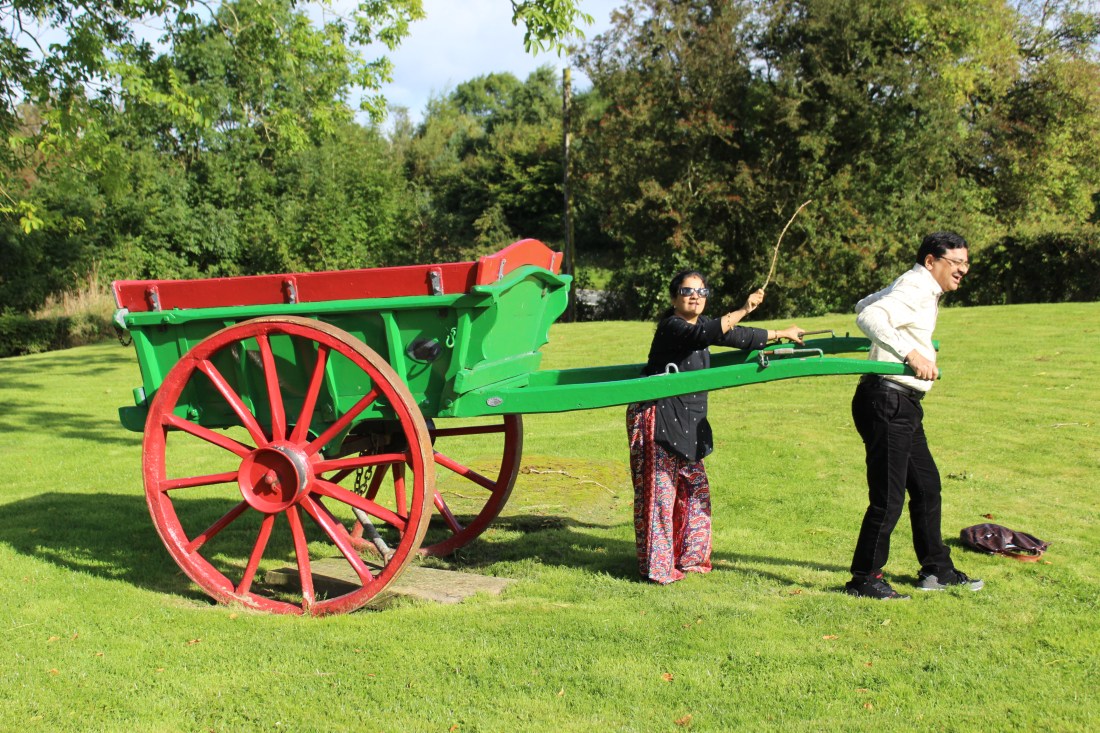 36521907734_0b94e44a2b_o